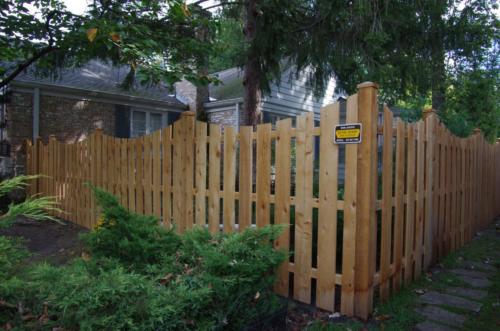 1x6 Scalloped Picket