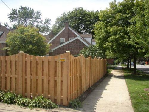 Board on Board-Scalloped