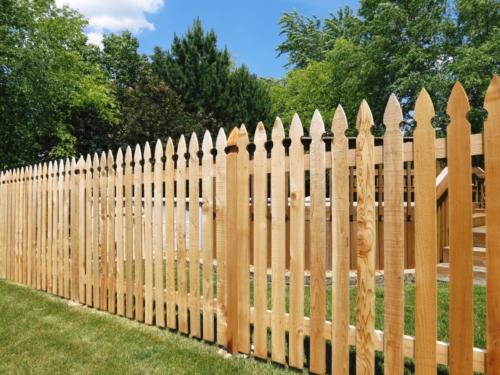 French Gothic Picket