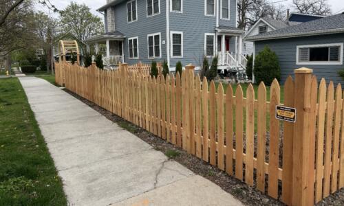 Scalloped Gothic Picket